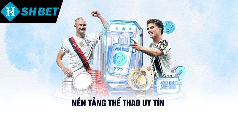 Nền tảng thể thao uy tín 
